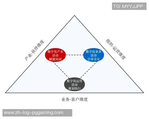 重磅专题：探索BLG在数字时代的转型与创新之路