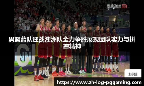 pg模拟器