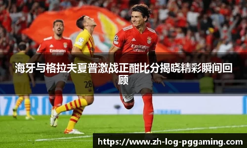 pg模拟器