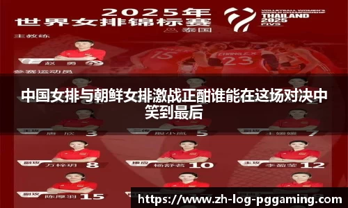pg模拟器