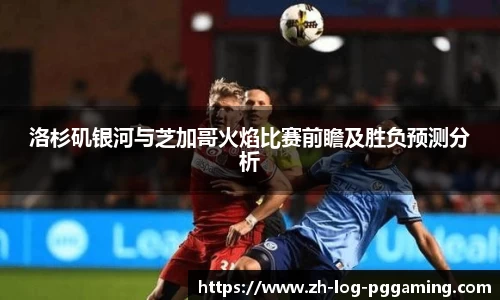 pg模拟器