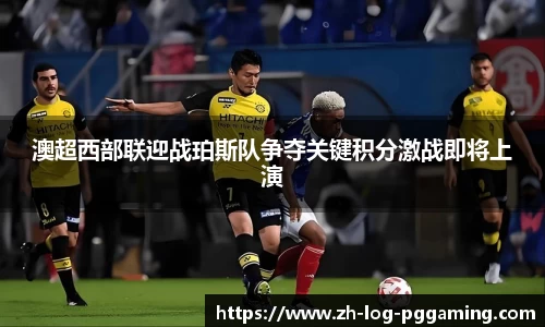 pg模拟器