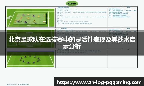 pg模拟器官网下载