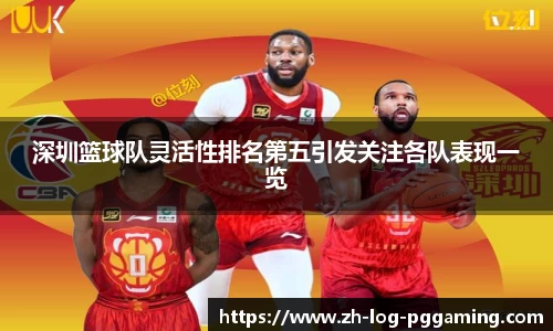pg模拟器